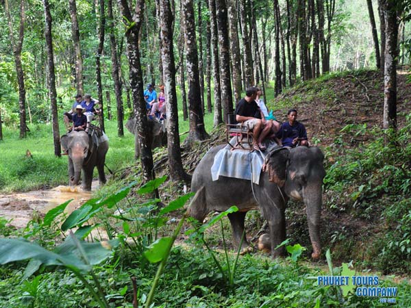 Phuket Rafting 5 Km Program A