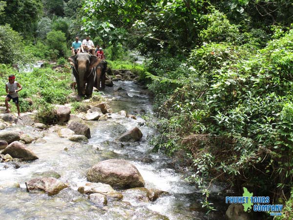 Phuket Rafting 5 Km Program F