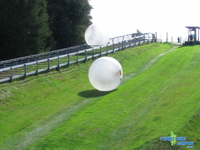 Rollerball Zorbing Phuket