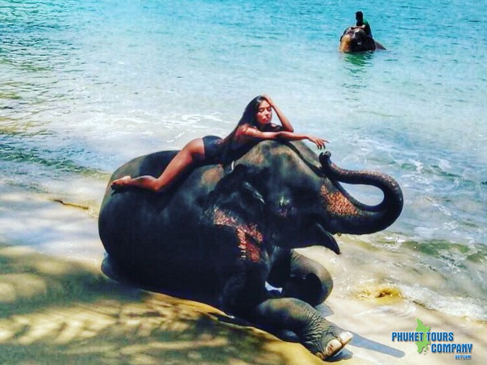 Phuket Elephant Swim in Sea Tour 1 Hour