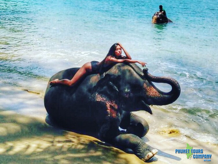 Phuket Elephant Swim in Sea Tour 2 Hour