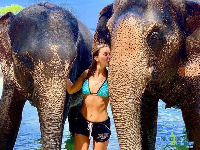 Phuket Elephant Swim in Sea Tour 30 Minutes