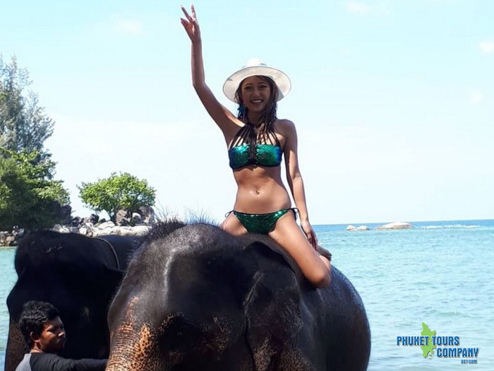 Phuket Elephant Swim in Sea Tour 1 Hour