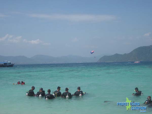Scuba Diving Coral Island