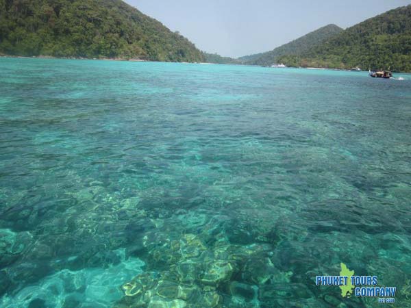 Surin Islands Day Tour