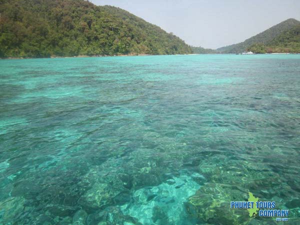 Surin Islands Day Tour